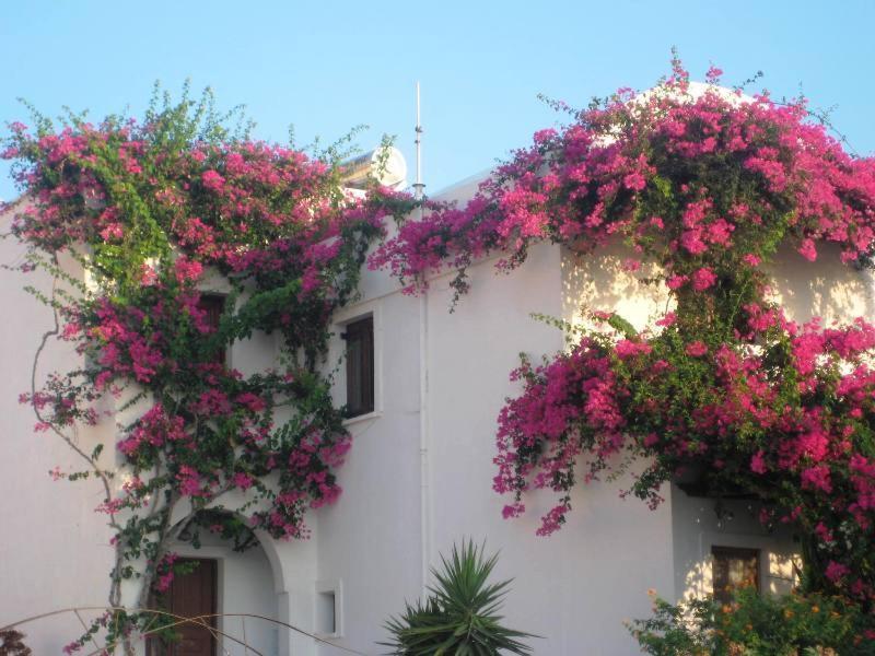 Vocamvilia Apartments Kamari  Exterior photo
